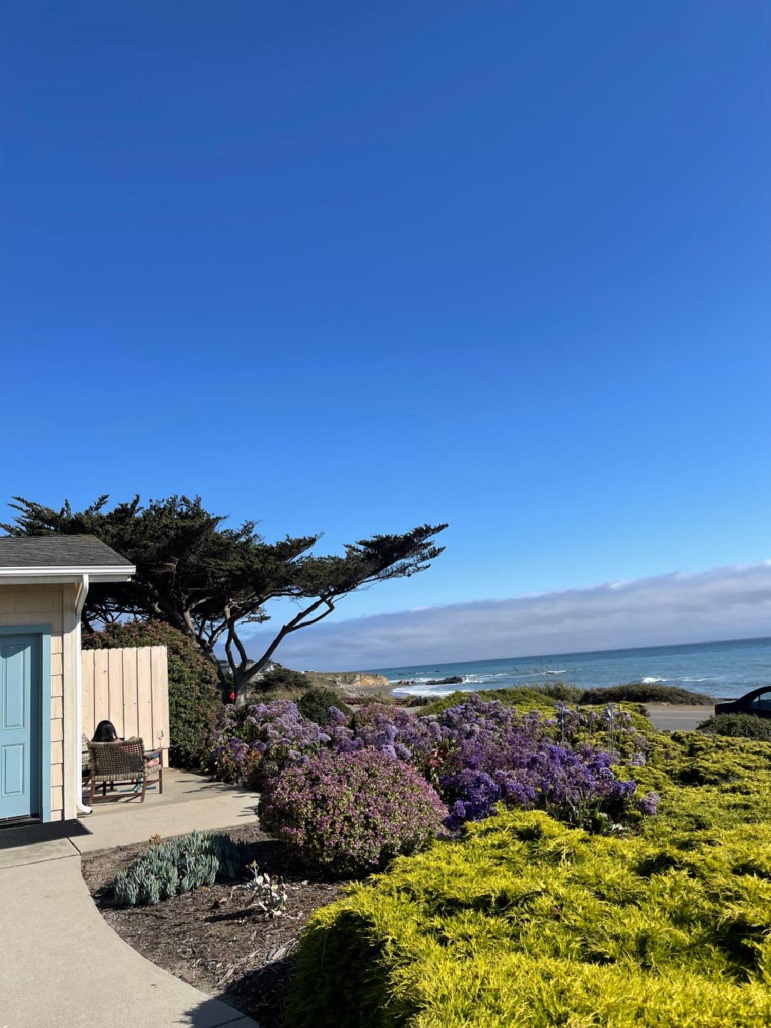 Cambria Landing Inn And Suites Eksteriør bilde